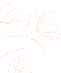 Shape Image