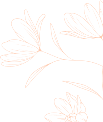 Shape Image